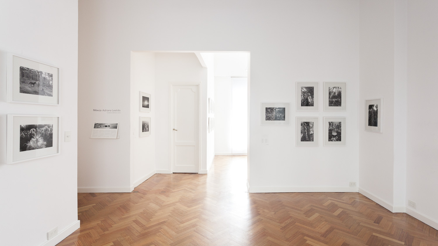 Rolf Art - Adriana Lestido - Mexico - mar-jun 2015 04