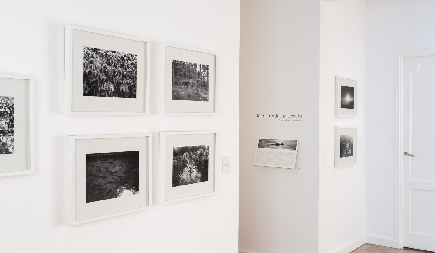 Rolf Art - Adriana Lestido - Mexico - mar-jun 2015 08