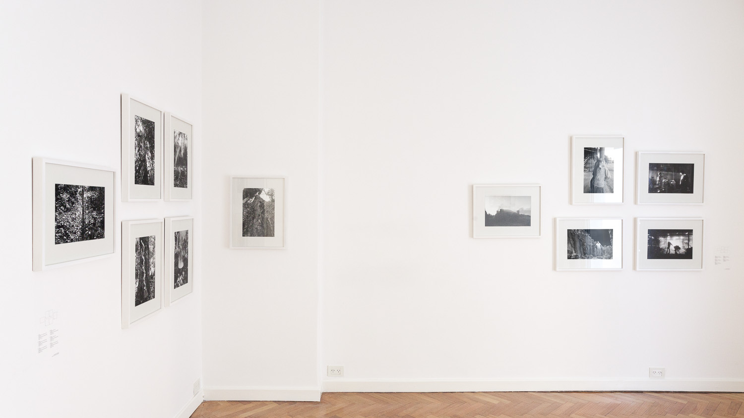 Rolf Art - Adriana Lestido - Mexico - mar-jun 2015 10