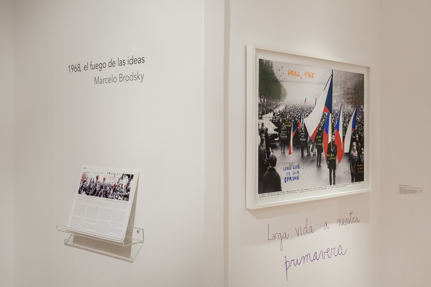 01_javier agustin rojas_rolf brodsky_IMG_4814_low