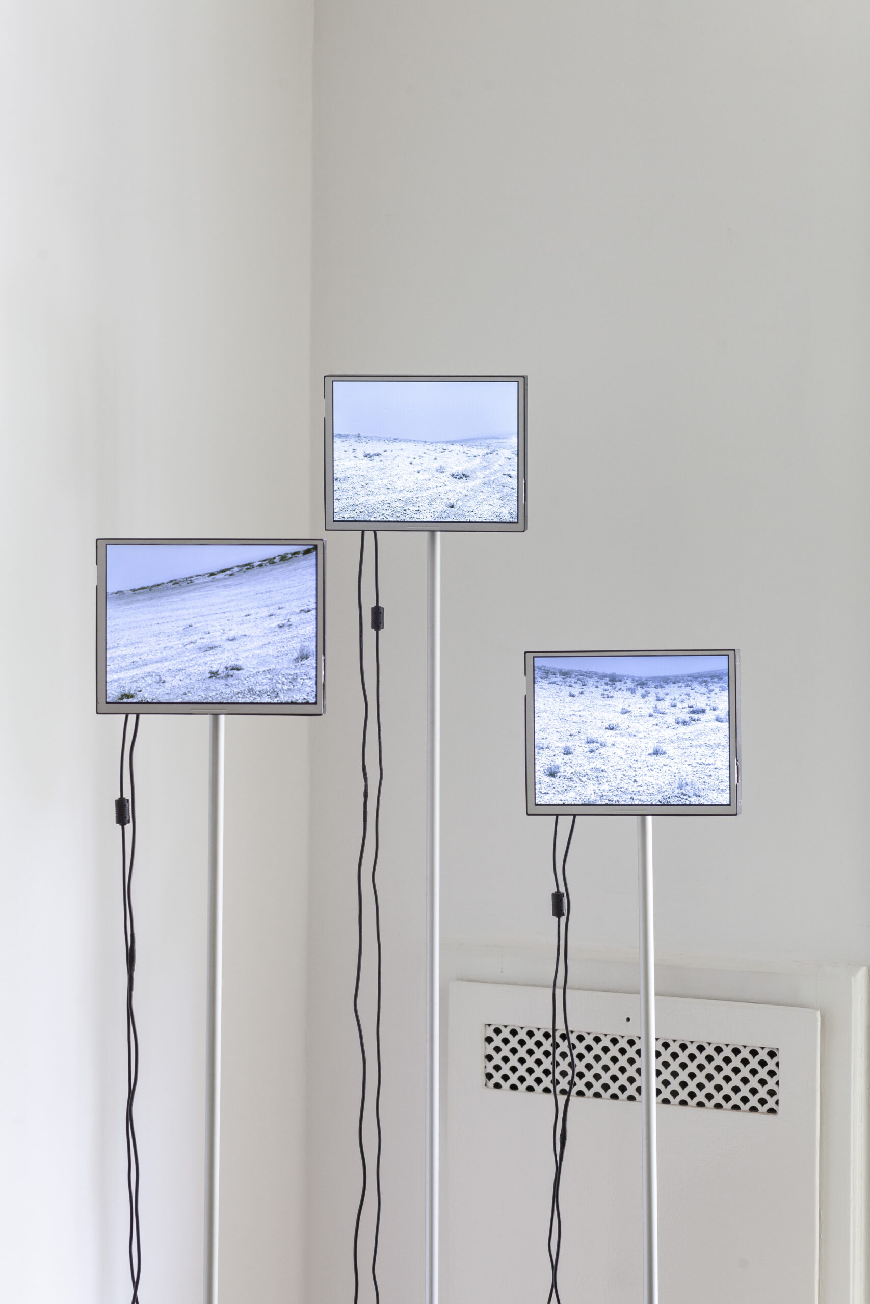 Rolf _ Sala _ Silvia Rivas _ Momentum _ PH Javier Agustin Rojas 22