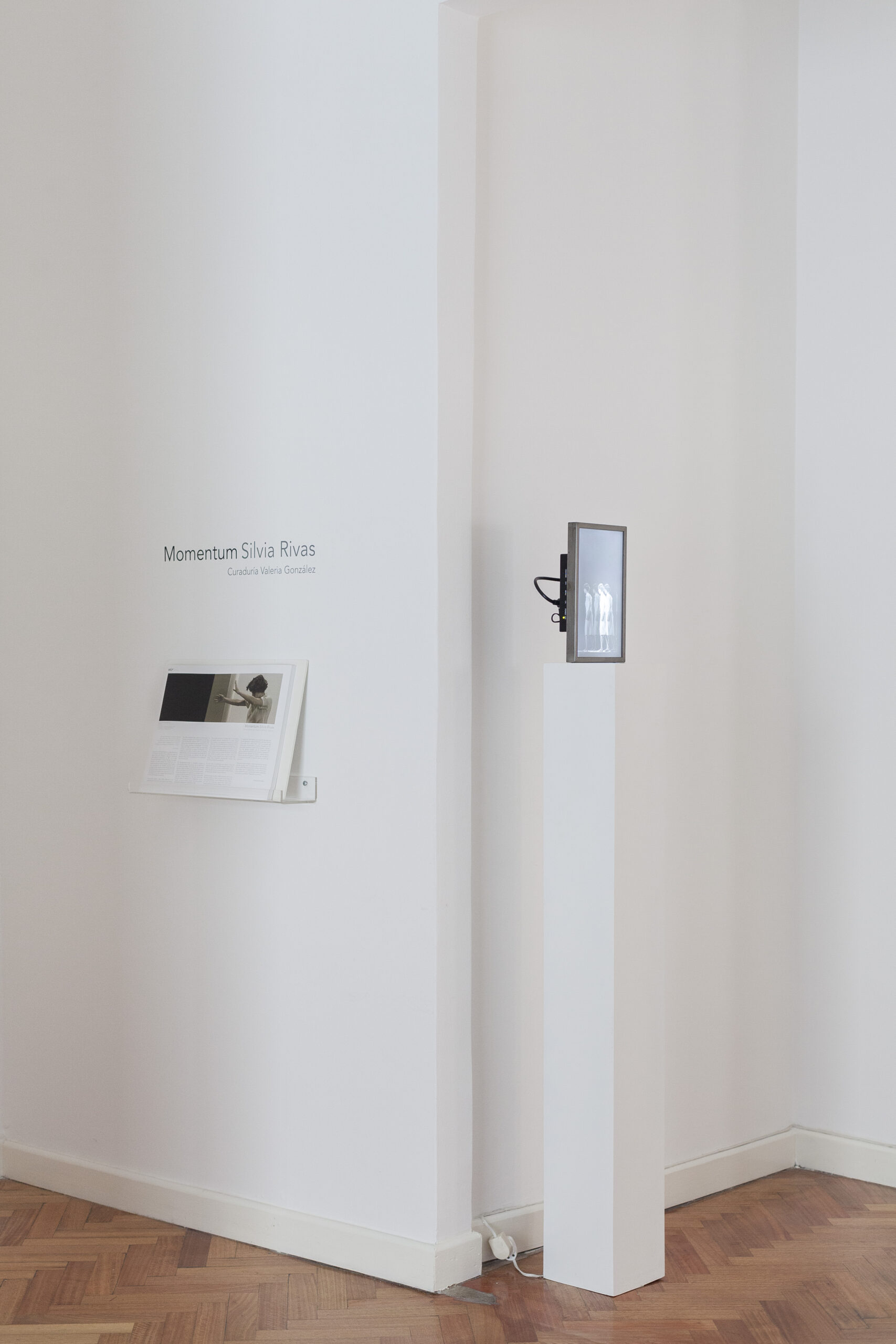 Rolf _ Sala _ Silvia Rivas _ Momentum _ PH Javier Agustin Rojas 5