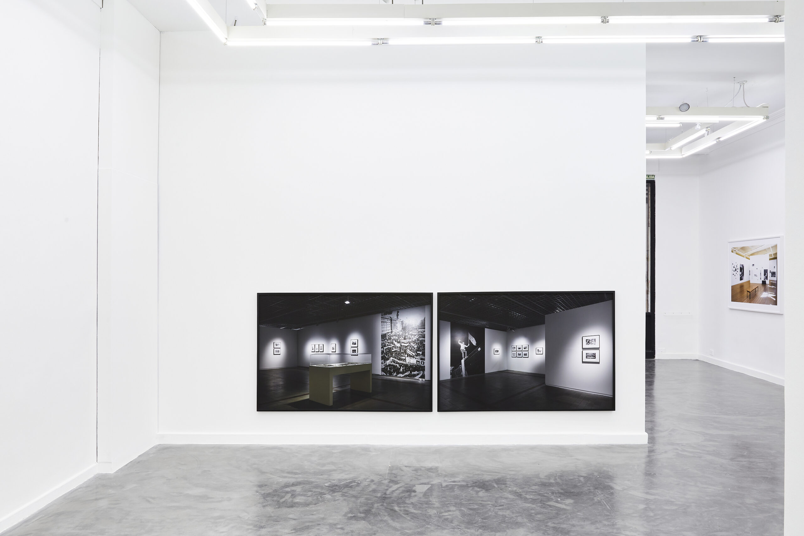 WEB_PhClaraNerone__MG_5105